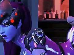 3d Video Featuring Overwatch Characters Engaging In Sexual Activity